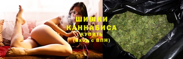 гидра Богданович