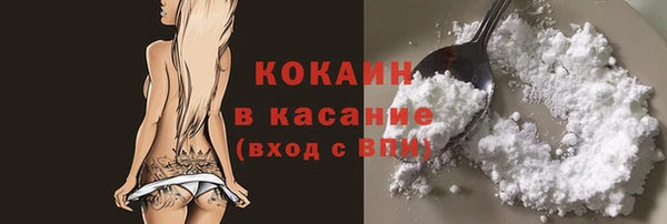 гидра Богданович