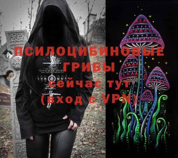 гидра Богданович