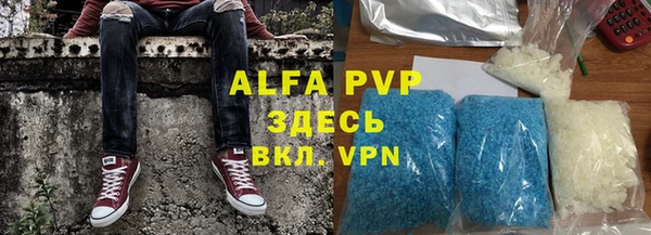 гидра Богданович