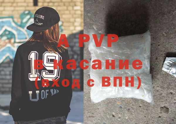 гидра Богданович