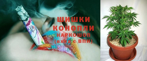гидра Богданович