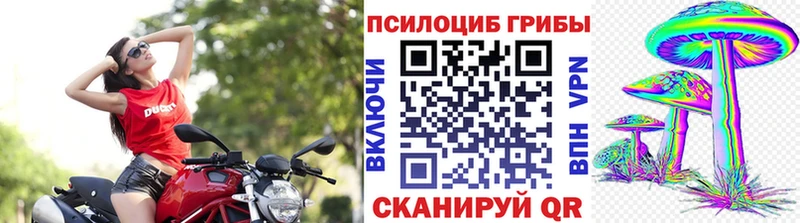 Купить  Армавир  Псилоцибиновые грибы прущие грибы 